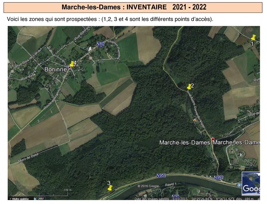 Groupe d'Inventaire du Bois de Marche-les-Dames (GIBMLD)