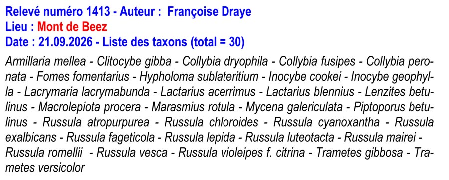 Groupe d'Inventaire du Bois de Marche-les-Dames (GIBMLD)