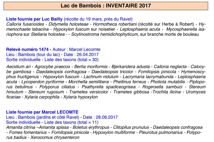 Groupe d'Inventaire du Lac de Bambois (GILB)