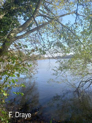 Groupe d'Inventaire du Lac de Bambois (GILB)