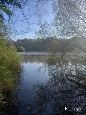 Groupe d'Inventaire du Lac de Bambois (GILB)