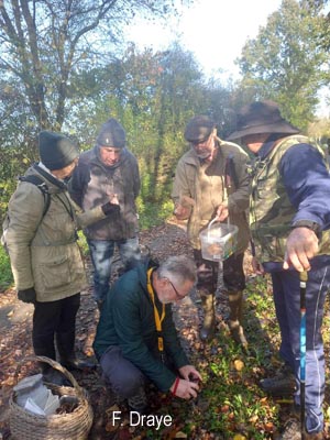 Groupe d'Inventaire du Lac de Bambois (GILB)