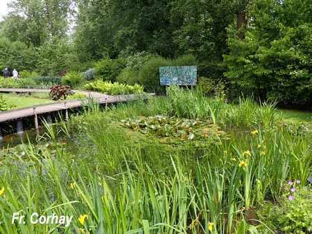 Groupe d'Inventaire du Lac de Bambois (GILB).