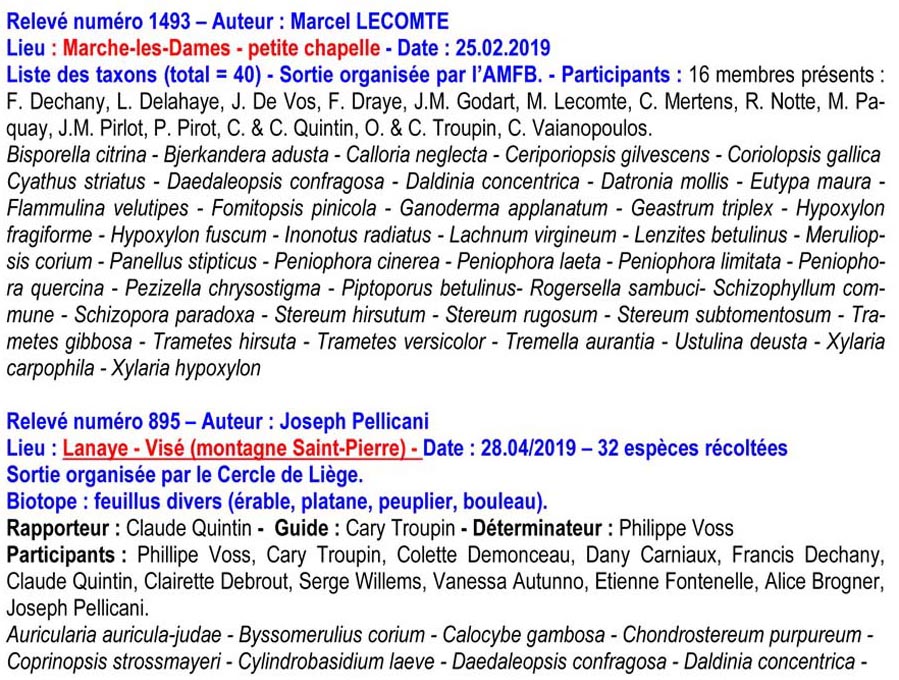 Association des Mycologues Francophones de Belgique asbl