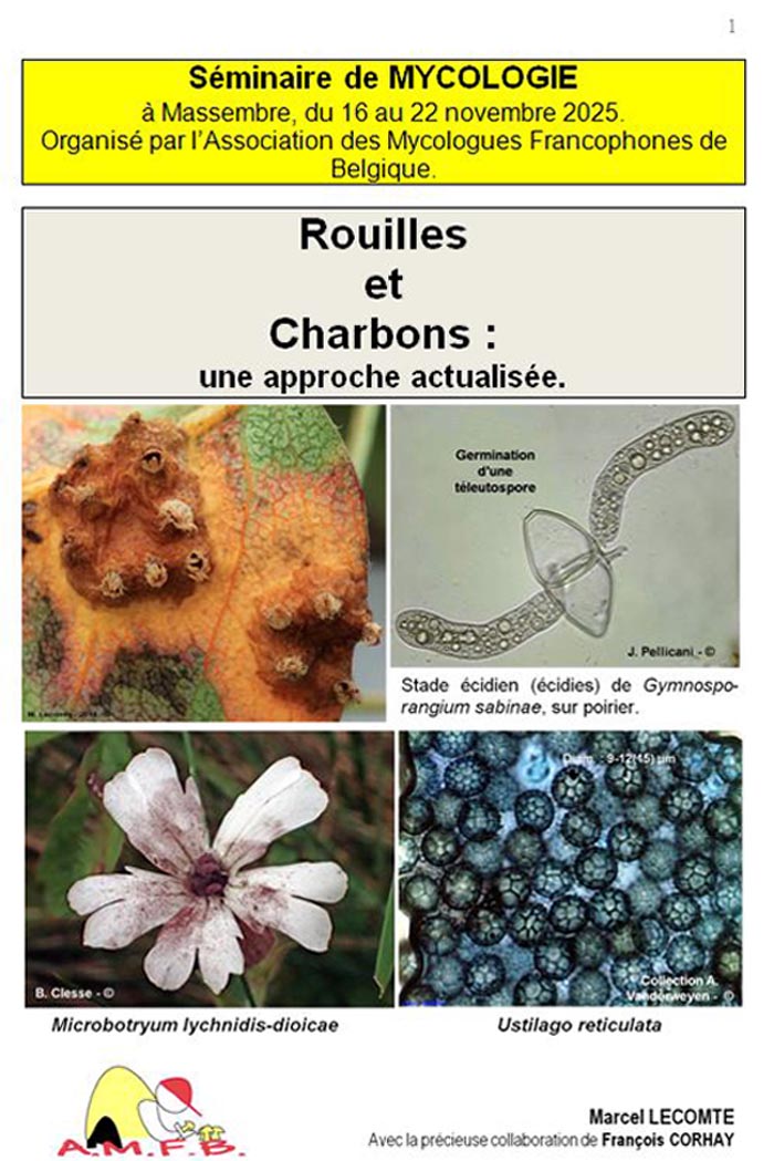 Rouilles et Charbons, une approche actualisée