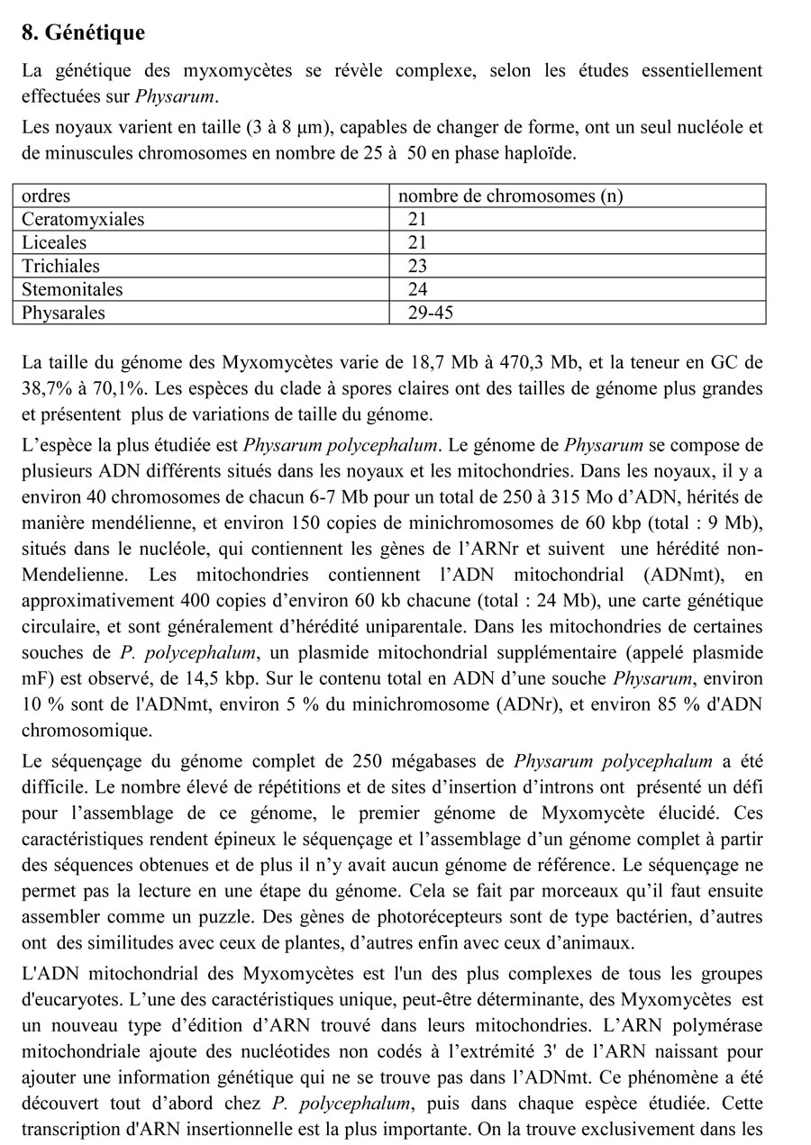 Une introduction à l'histoire et à la biologie des Myxomycètes