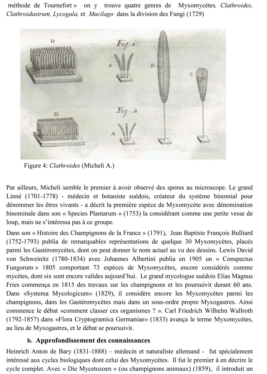 Une introduction à l'histoire et à la biologie des Myxomycètes