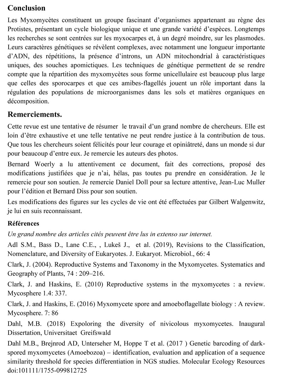 Une introduction à l'histoire et à la biologie des Myxomycètes