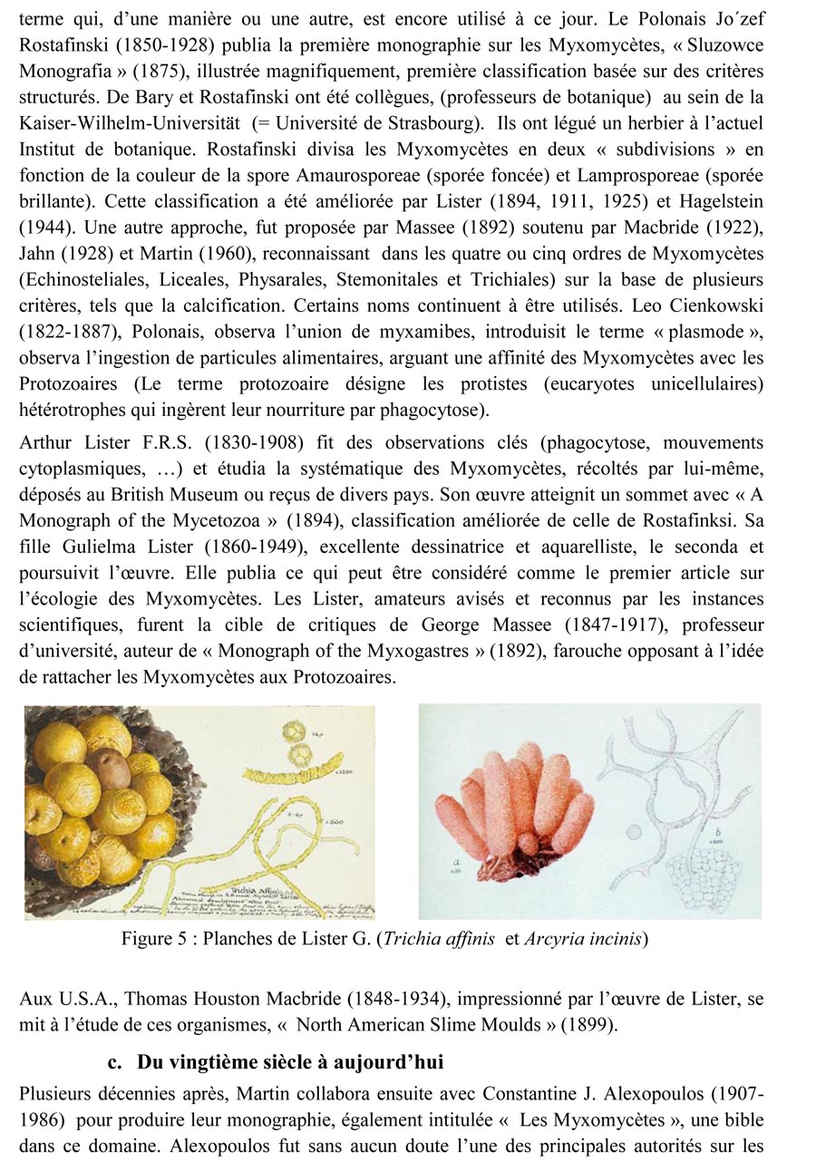 Une introduction à l'histoire et à la biologie des Myxomycètes