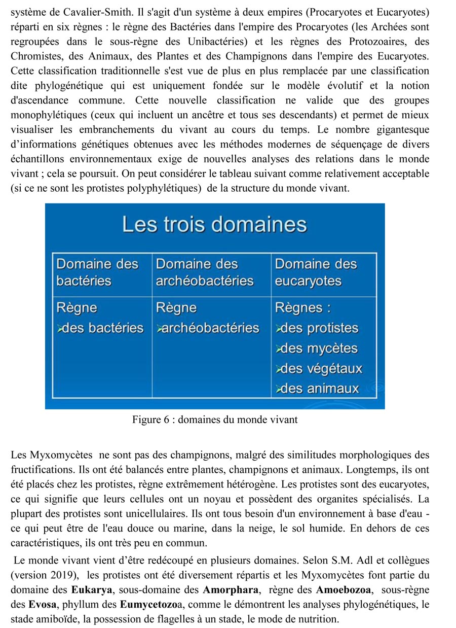 Une introduction à l'histoire et à la biologie des Myxomycètes