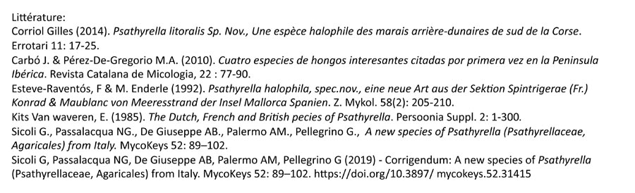 Psathyrella cladii-marisci