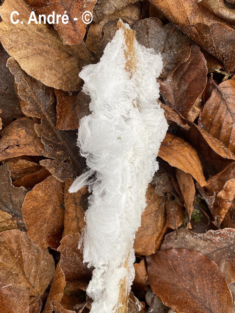 Fils de glace