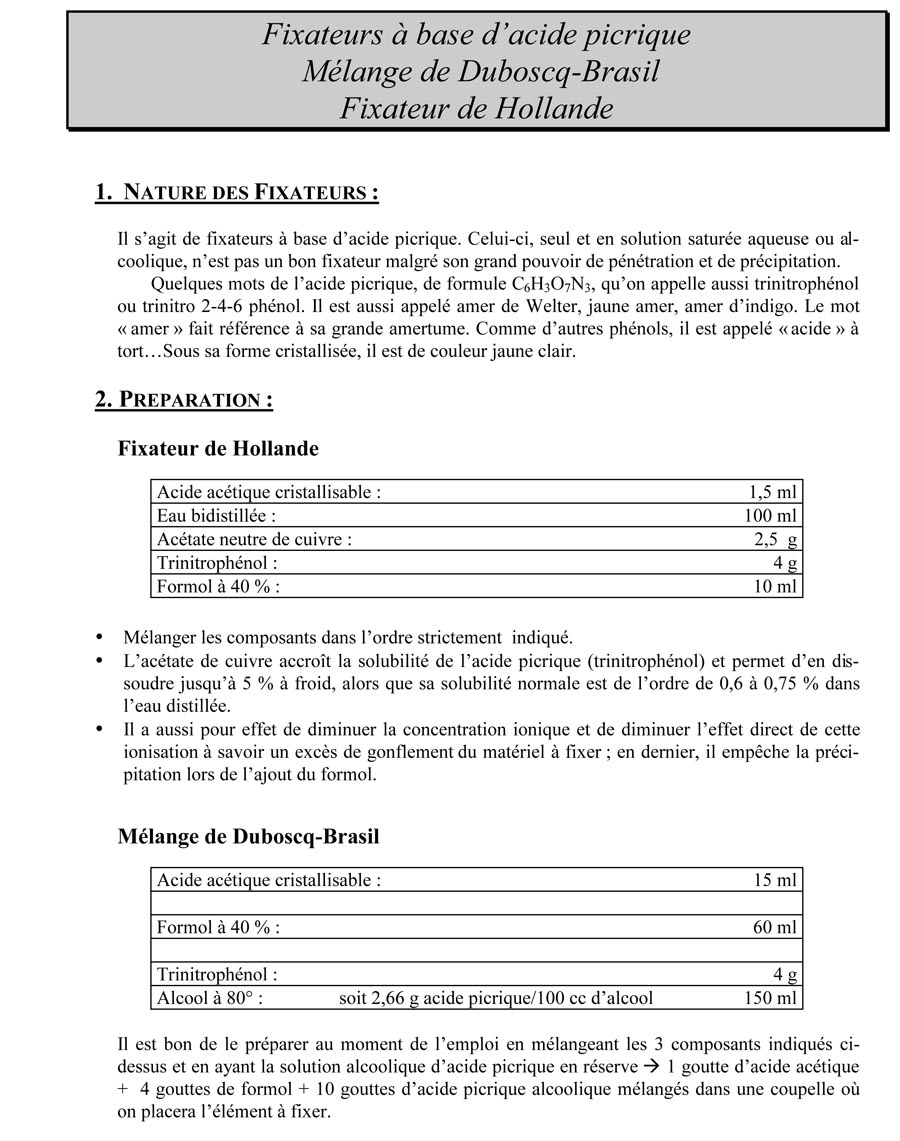 Fixateur de Hollande