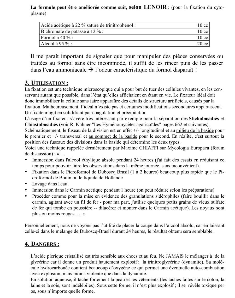 Fixateur de Hollande