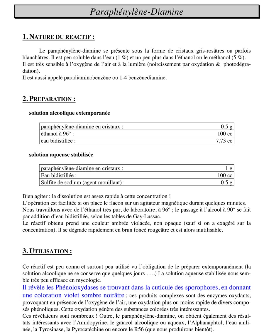 Paraphénylène-Diamine