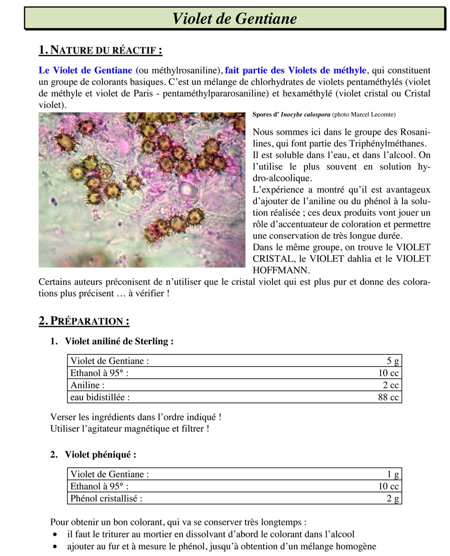 violet de gentiane