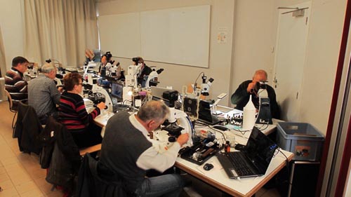Microscopie 2017 à Massembre
