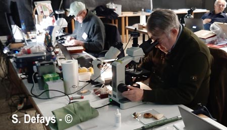 Congrès de microscopie 2025 à Massembre