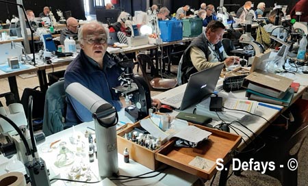 Congrès de microscopie 2025 à Massembre