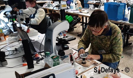 Congrès de microscopie 2025 à Massembre