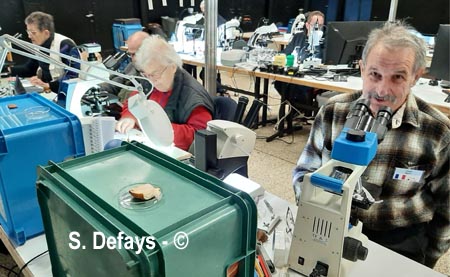 Congrès de microscopie 2025 à Massembre